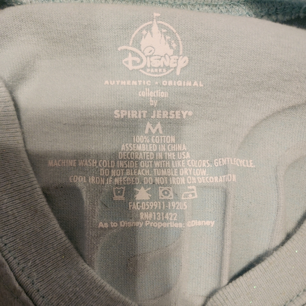 Disneyworld Mint Green Unisex Spirit Jersey - Picture 7 of 7